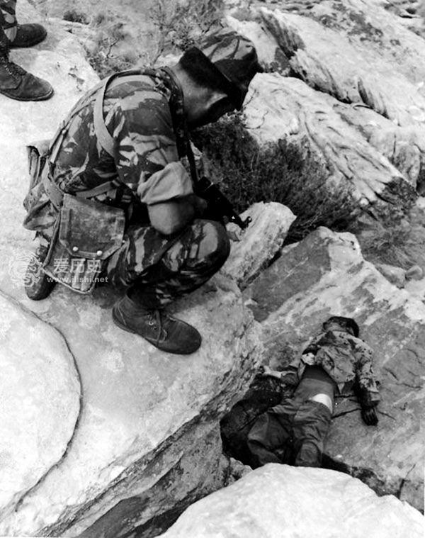 阿尔及利亚队连败豪取小组第一的简单介绍 阿尔及利亚队连败豪取小组第一的简单介绍