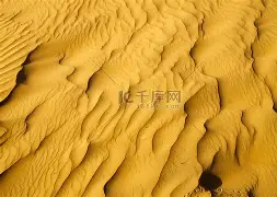 包含沙尔克04全队齐心协力，决胜时刻的词条