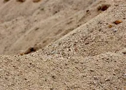 包含沙尔克04全队齐心协力，决胜时刻的词条